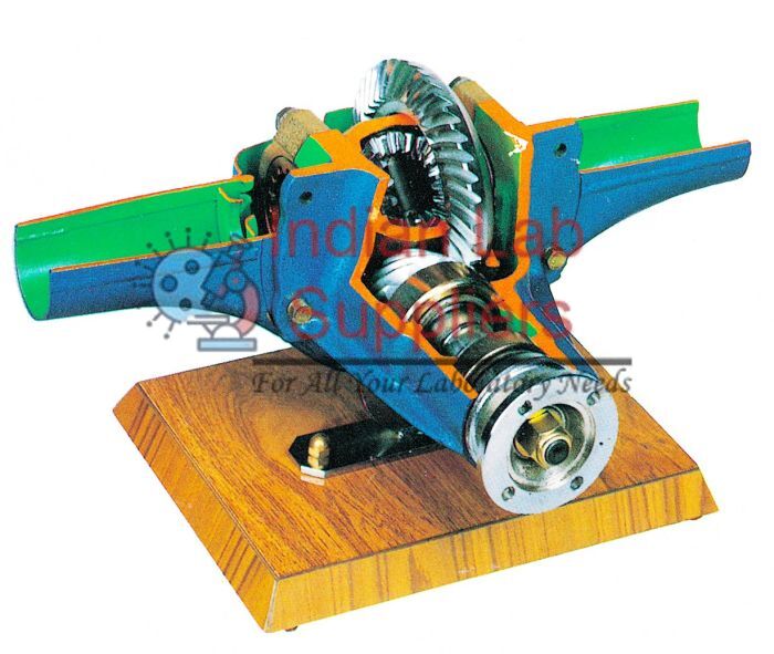 Hypoid Differential Cutaway Model